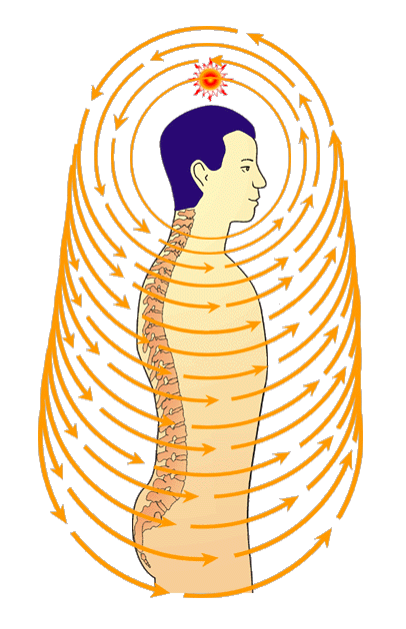 Chrbtica ochrana